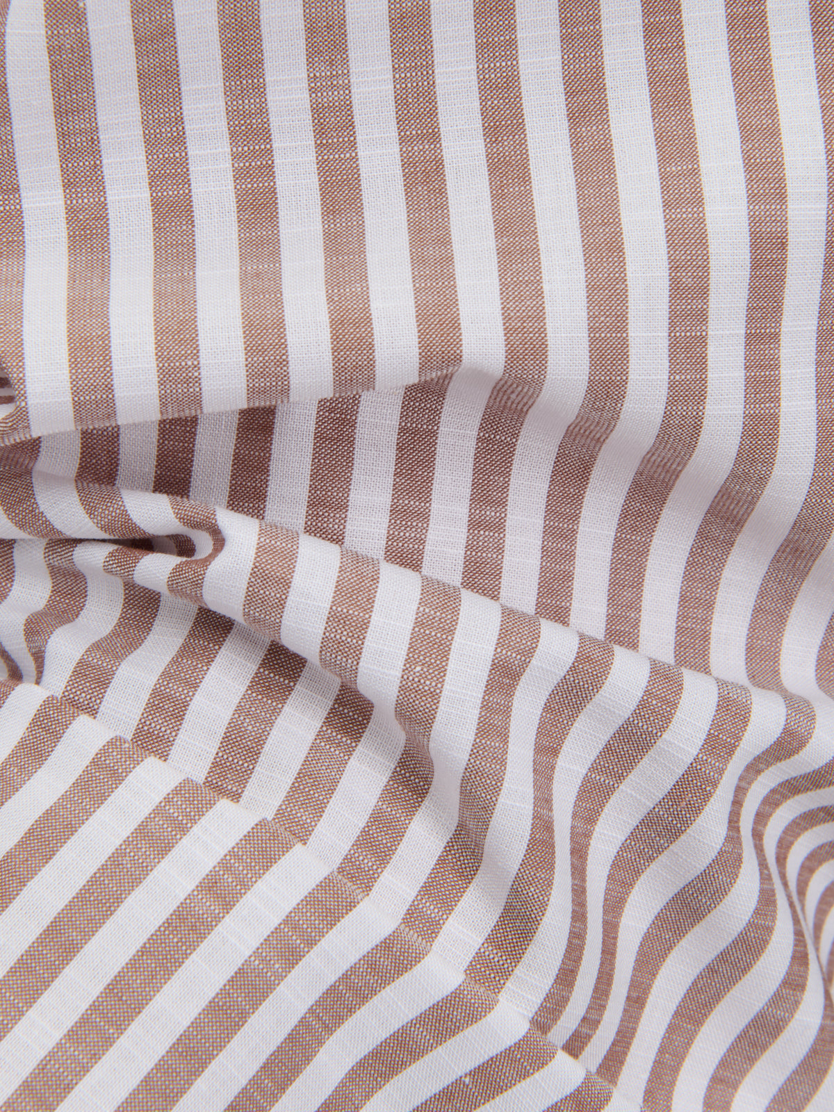Shirt Collar Cutaway Stripe Poplin Brown